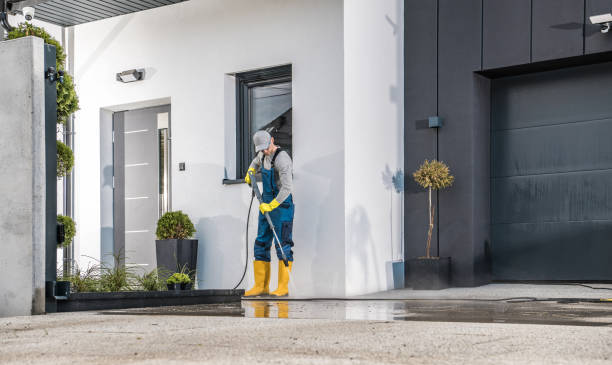 Best Driveway Pressure Washing  in Pine Hills, CA